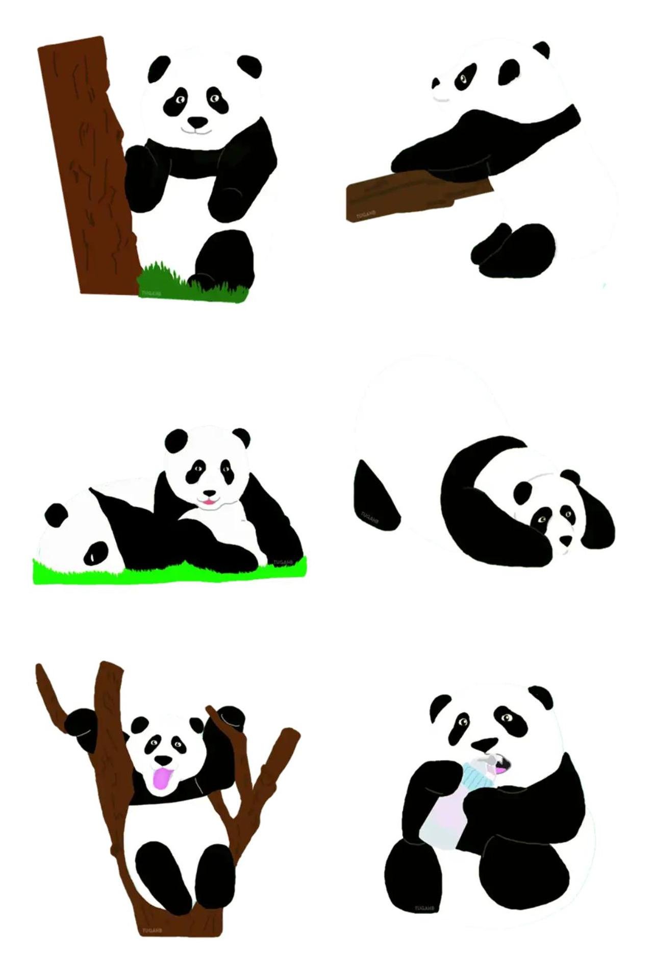 Relaxed pandas Animals sticker pack for Whatsapp, Telegram, Signal, and others chatting and message apps