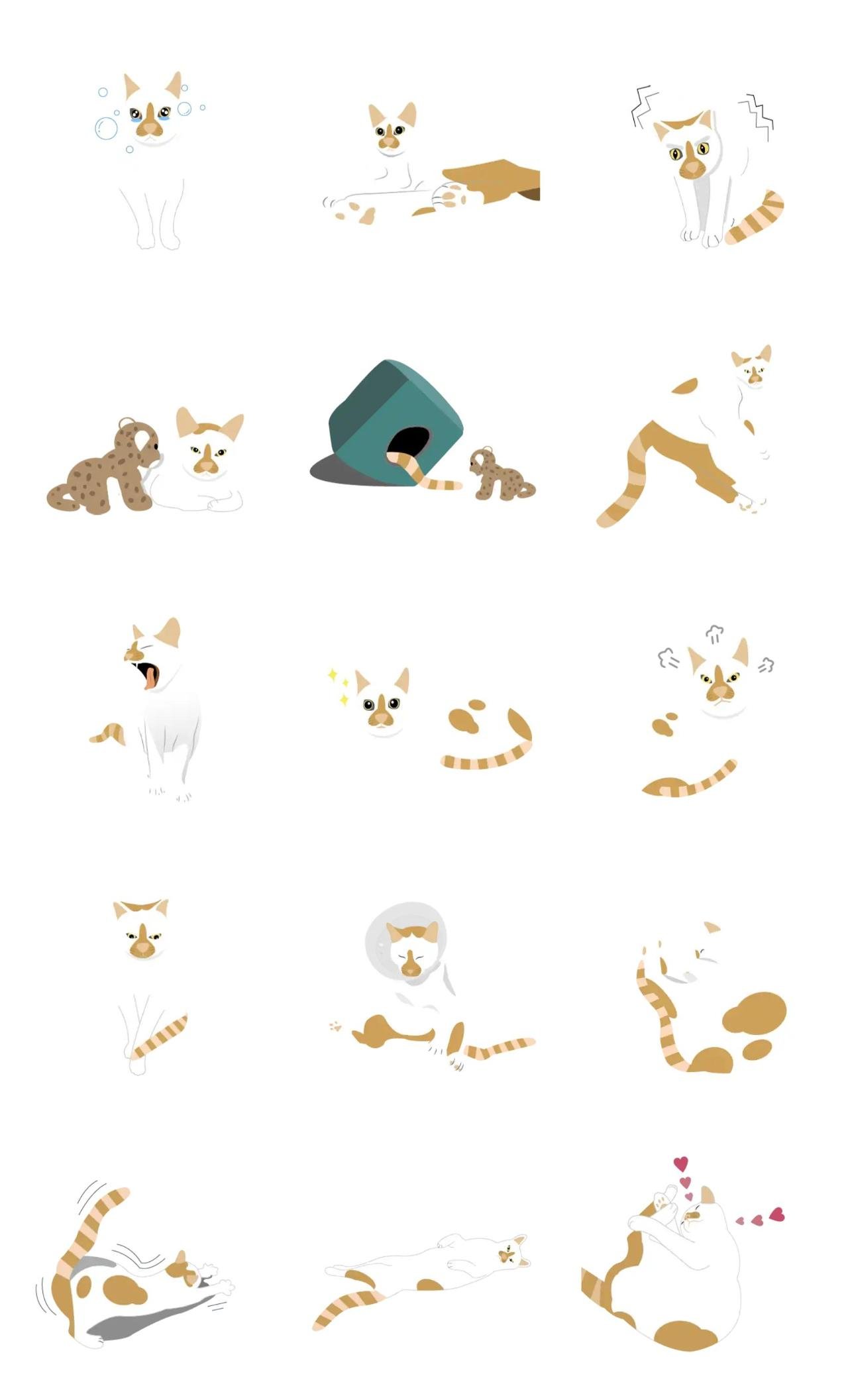 Sisu the dream cat Animals sticker pack for Whatsapp, Telegram, Signal, and others chatting and message apps