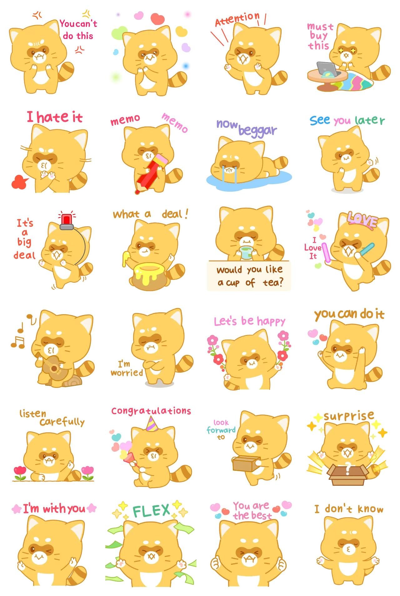 cute raccoon conversation Animals sticker pack for Whatsapp, Telegram, Signal, and others chatting and message apps