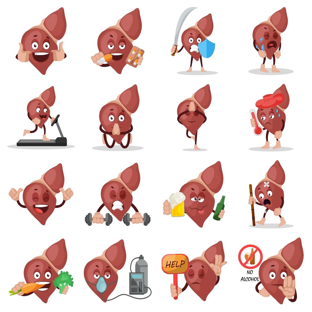 Liver Animation/Cartoon,INDIA,Etc sticker pack for Whatsapp, Telegram, Signal, and others chatting and message apps